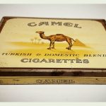 camel