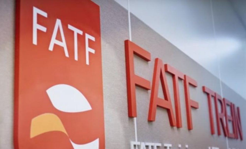 Delhi played role to keep Islamabad on FATF grey list: Jaishankar
