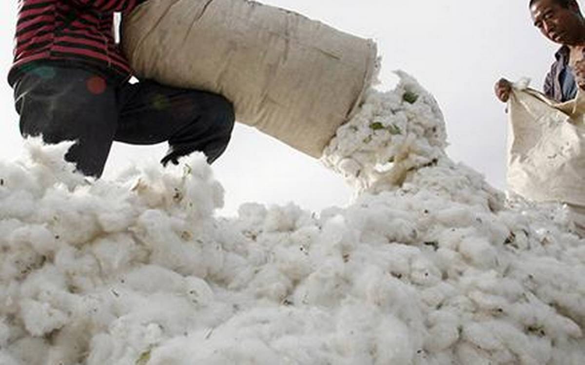 US bans cotton imports from China producer citing Xinjiang 'slave labour'