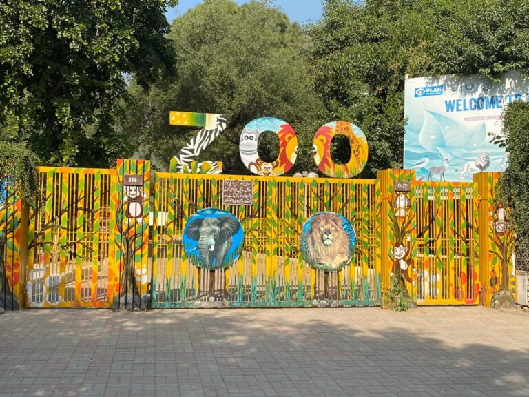 Islamabad Zoo begins ambitious makeover after Kaavan’s departure ...