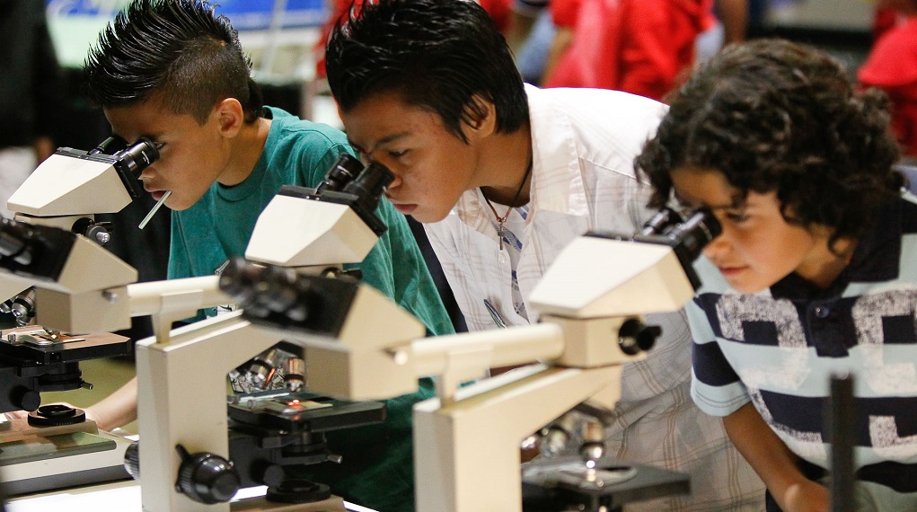 Contribution in Science and Technology