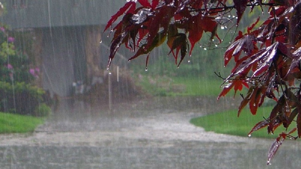 Monsoon floods disrupt Sindh, Pak-Iran train service | Pakistan Today