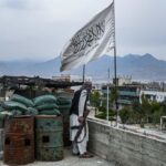 Taliban chief orders ban on poppy cultivation in Afghanistan