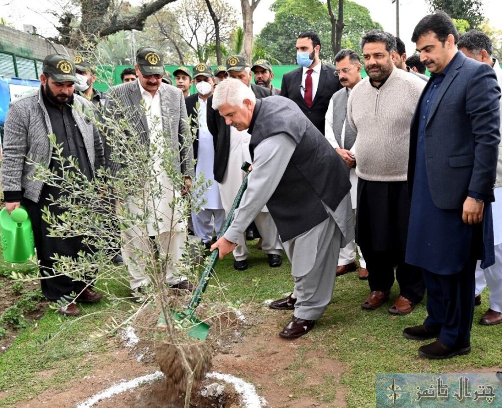 CM KP kicks off spring tree plantation drive | Pakistan Today