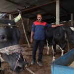 Dung power: India taps new energy cash cow