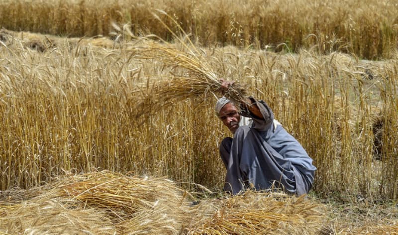 Rising temperatures trigger water, food insecurity in Pakistan, India ...