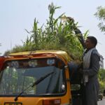 Delhi driver grows garden on autorickshaw roof to beat the heat