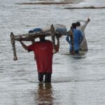 Activists warn a toothless UN nature pact will fail