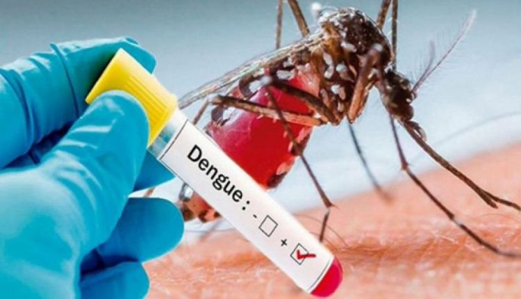 Dengue cases surge in Punjab with 86 new infections in last 24 hours