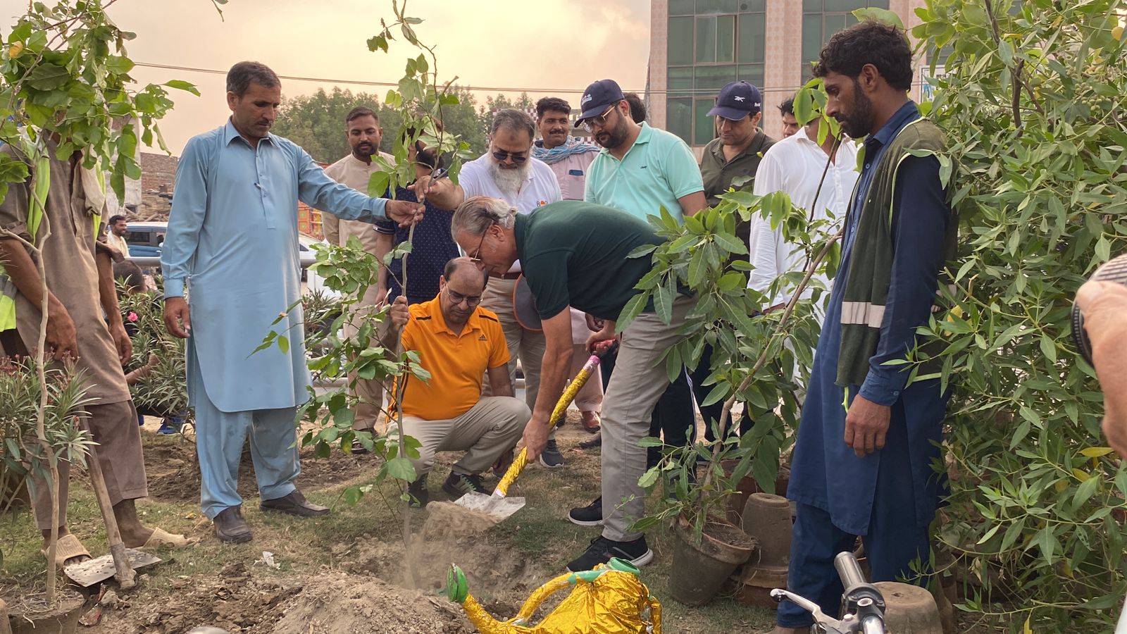 PHA Lahore launches tree plantation drive at Gajju Matta | Pakistan Today