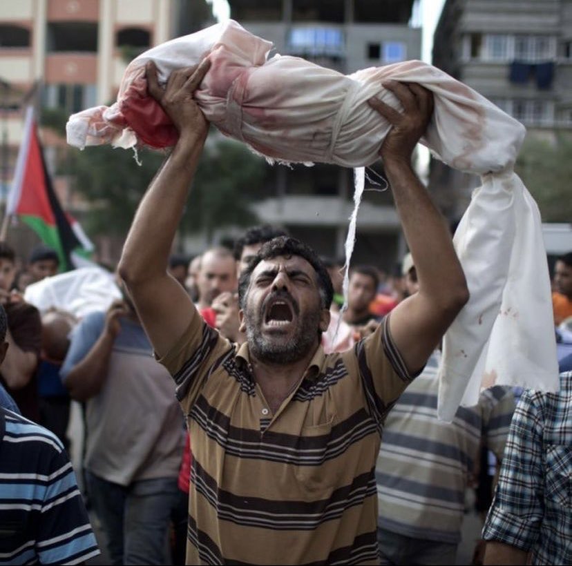 South Africa calls for UN force to protect civilians in Gaza