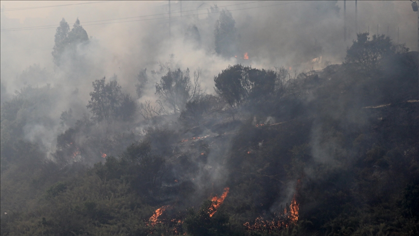 Death toll rises to 51 in Chile forest fires | Pakistan Today