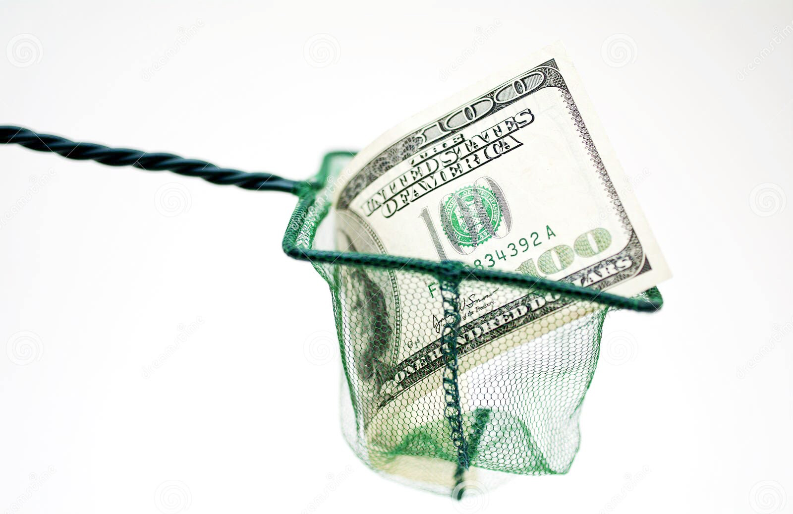 Blocking Sims: Netting Fish For Minting Money