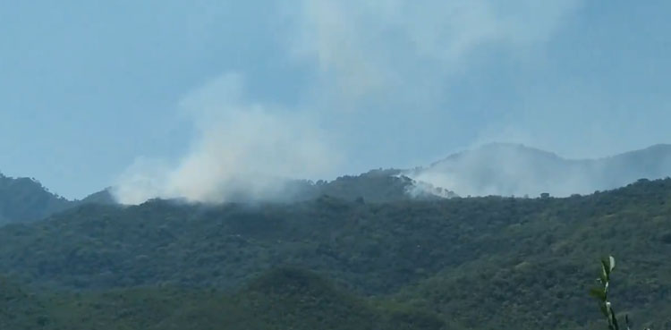 Fire engulfs Islamabad’s Margalla Hills due to extreme heat wave ...