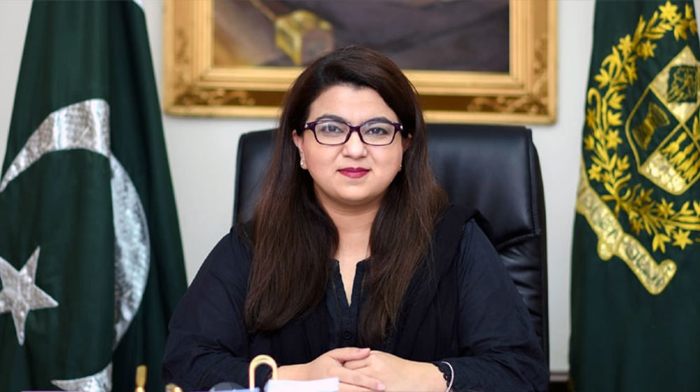 IT and Telecom minister pledges to overhaul Pakistan's internet infrastructure