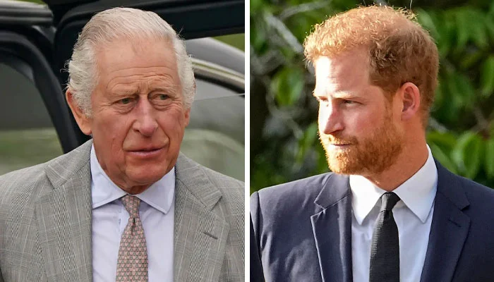 King Charles Sends Stern Message To Prince Harry | Pakistan Today