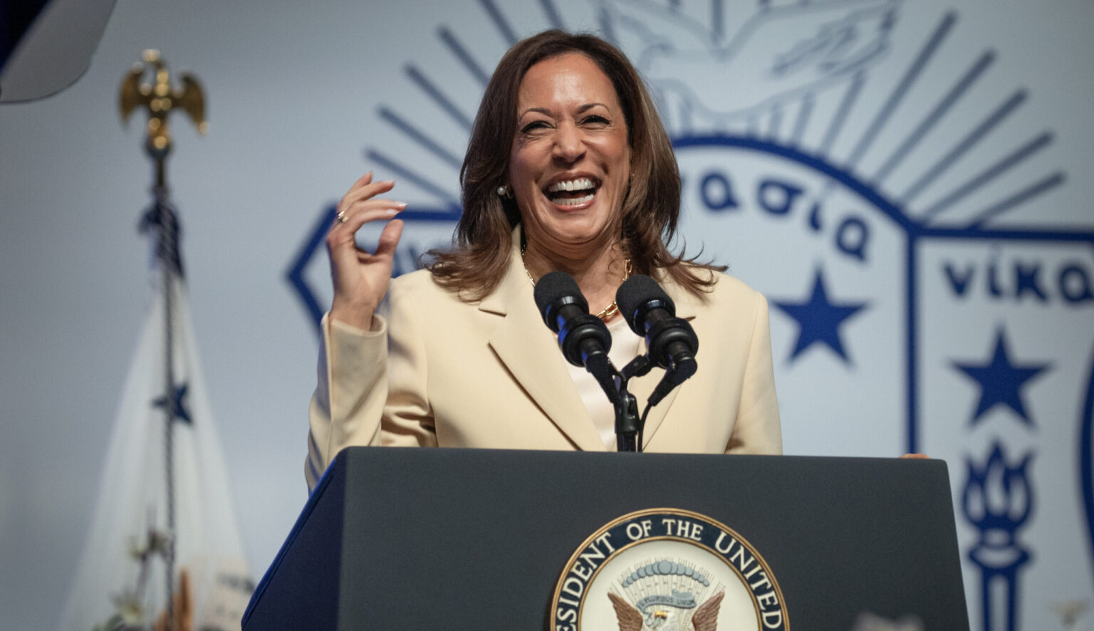 Kamala Harris says the US is “absolutely” ready to elect its first female president

 – Newsad