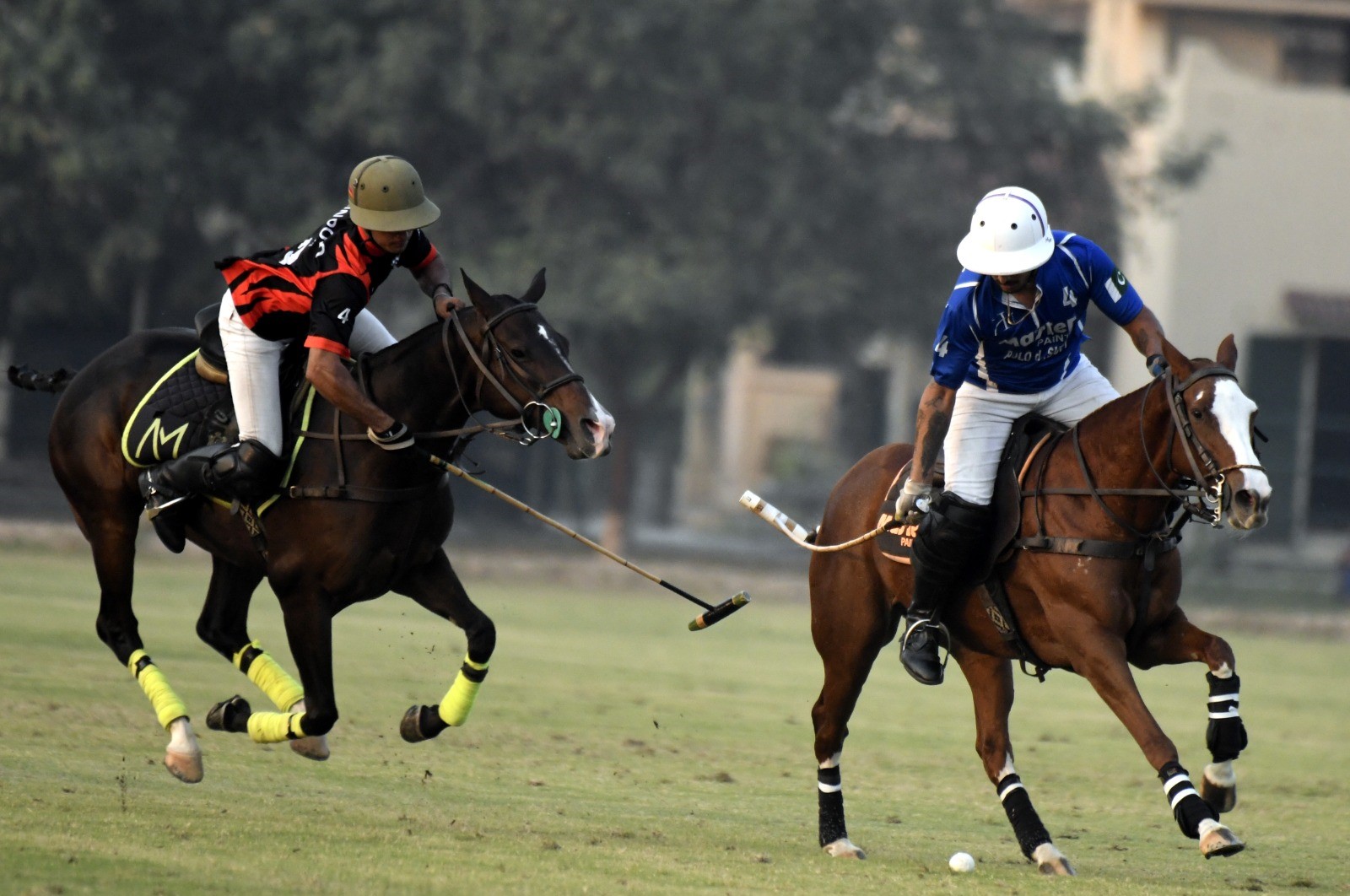 Master Peanuts defeats FG/Den Polo and qualifies for the Pink Polo Cup final

 Up trends