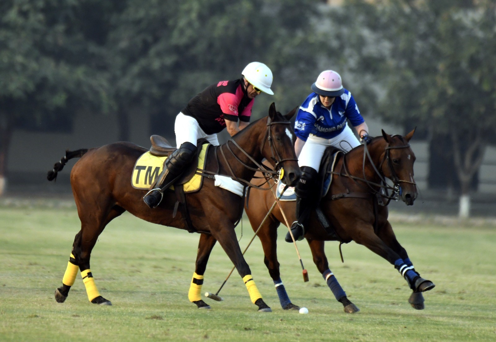 DP and Shehu Steele emerge victorious in the 2024 Pink Polo Cup

 Up trends