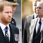 Prince Harry And Andrew Receive Some Good News From Buckingham Palace